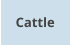 Cattle